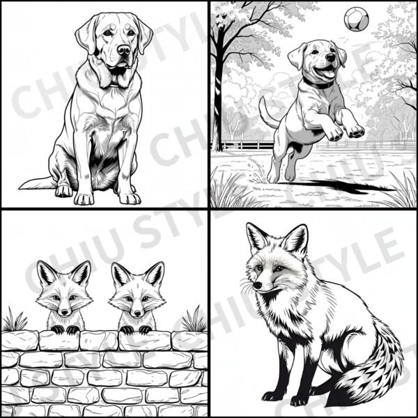 Four illustrations from the Color Me British: Pets & Nature Coloring Book — a Labrador, a Labrador playing on grass, a fox, and a fox peeking out from behind a wall.