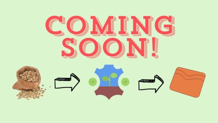 Plant-based card holder made from sustainable vegan leather crafted from natural plants-Coming soon!
